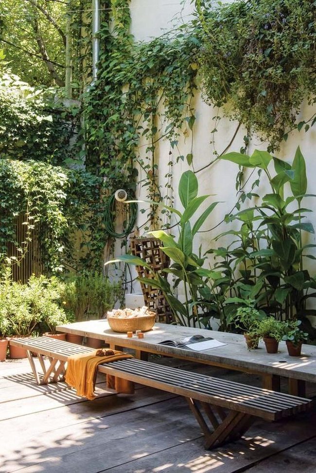 Sleek Bench Amid Leafy Green