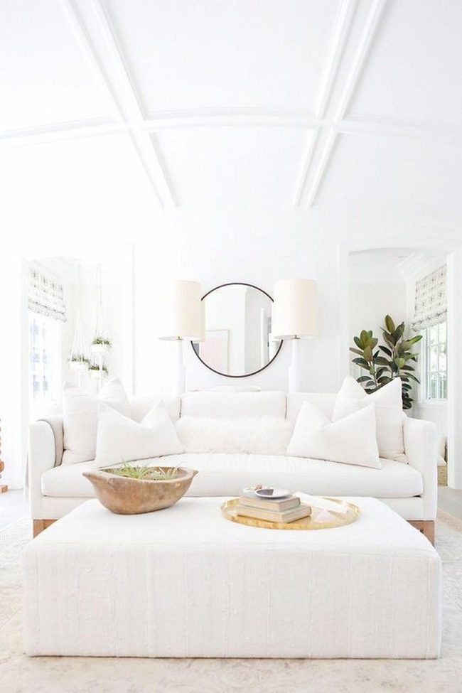 White Minimalism With Living Green