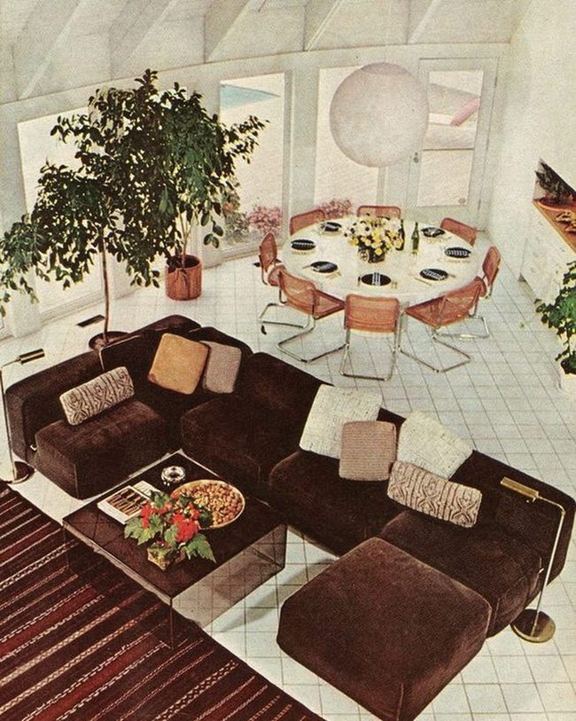 Dark Couch, Bright Flowers, Connection