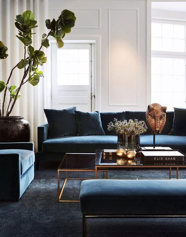 Blue Velvet Luxury Meets Natural Light