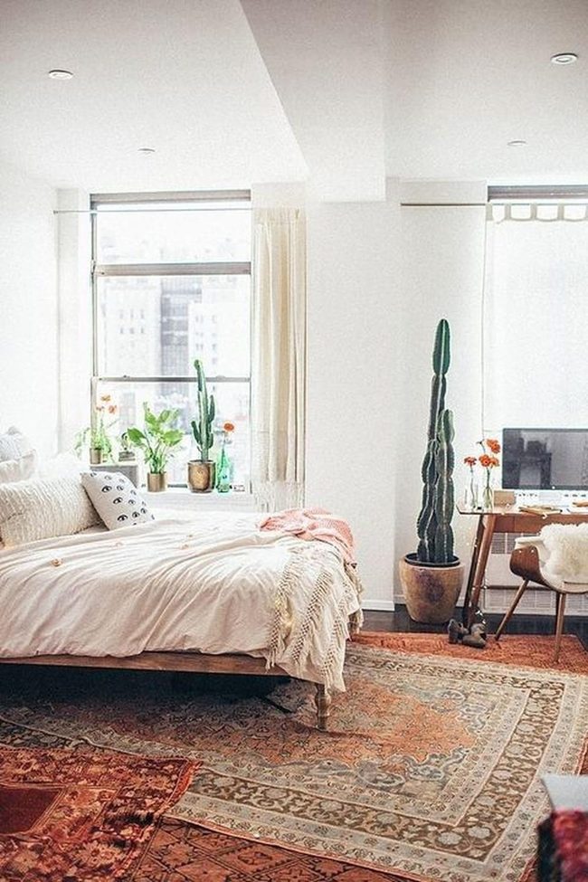 Sunlit Bedroom With Living Cactus