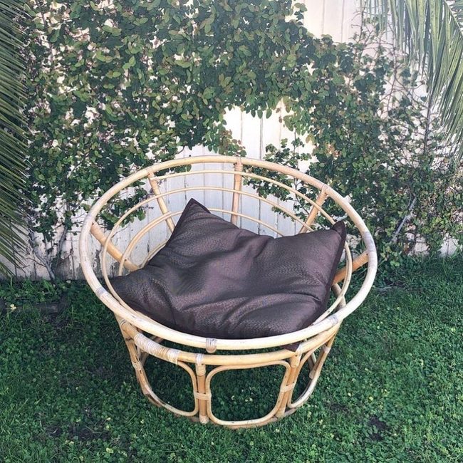 Rattan Chair Wrapped In Green Plants