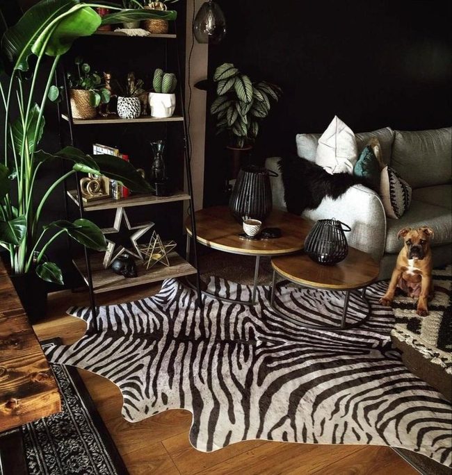 Dark Walls, Zebra Prints, Green Life