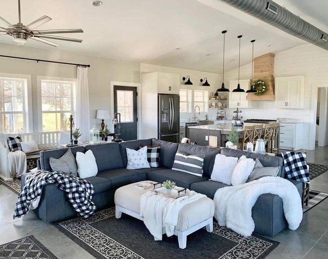 Dark Gray Couch Anchors Open Space