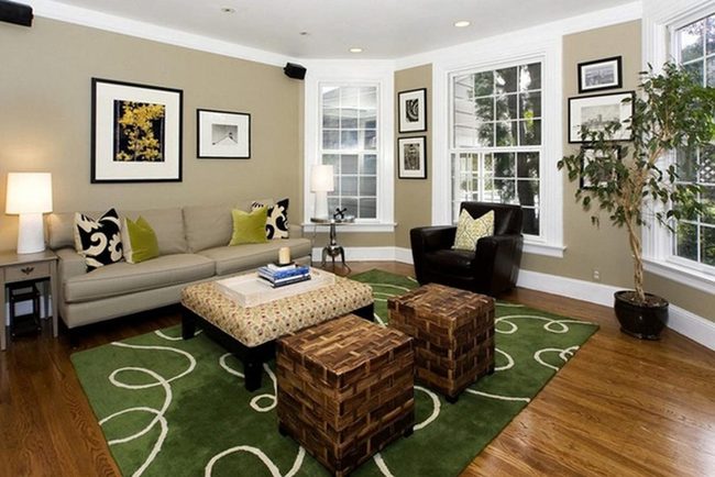 Lime Cushions And Earth Tones