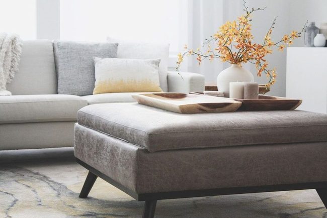Multicolor Carpet Anchors Entire Room