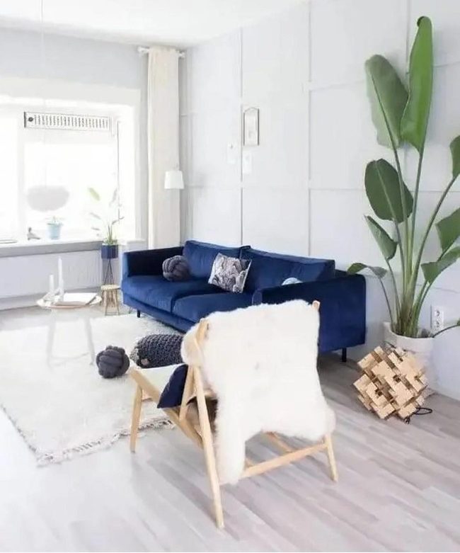 Deep Blue Couch Statement Space