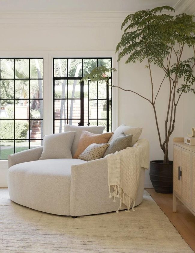 Circular Comfort Meets Modern Style