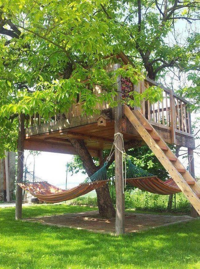 Wooden Treehouse With Hanging Hammocks