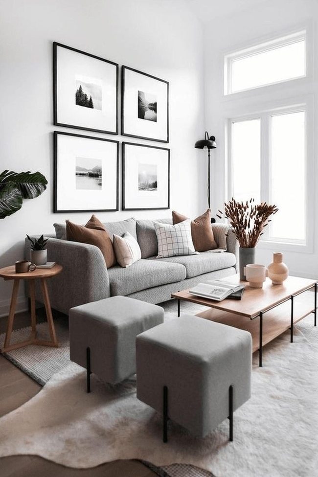 Light-Filled Gray Living Room