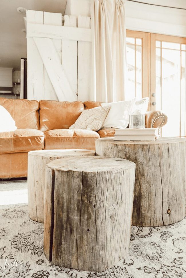 Tree Stumps Living Room Centerpiece