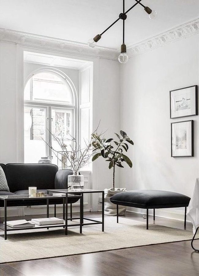 Sunlit Minimalism With Living Green