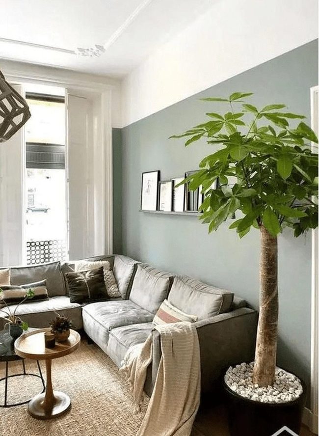 Greenish-Blue Walls With Natural Light
