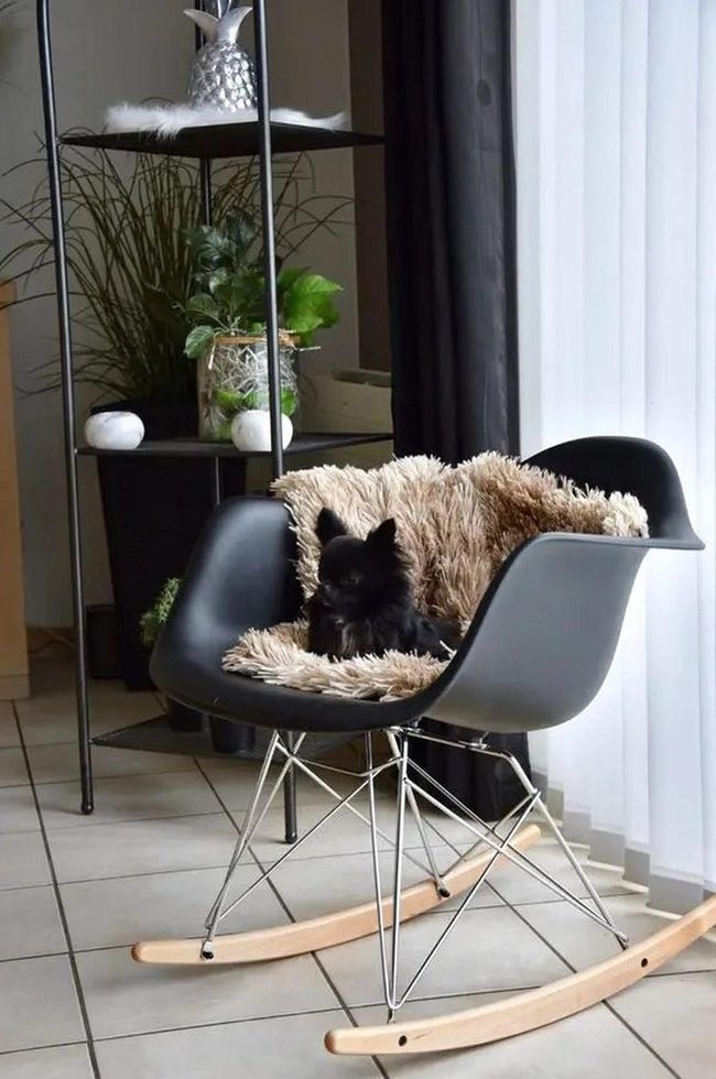 Black Chairs Command Modern Rooms