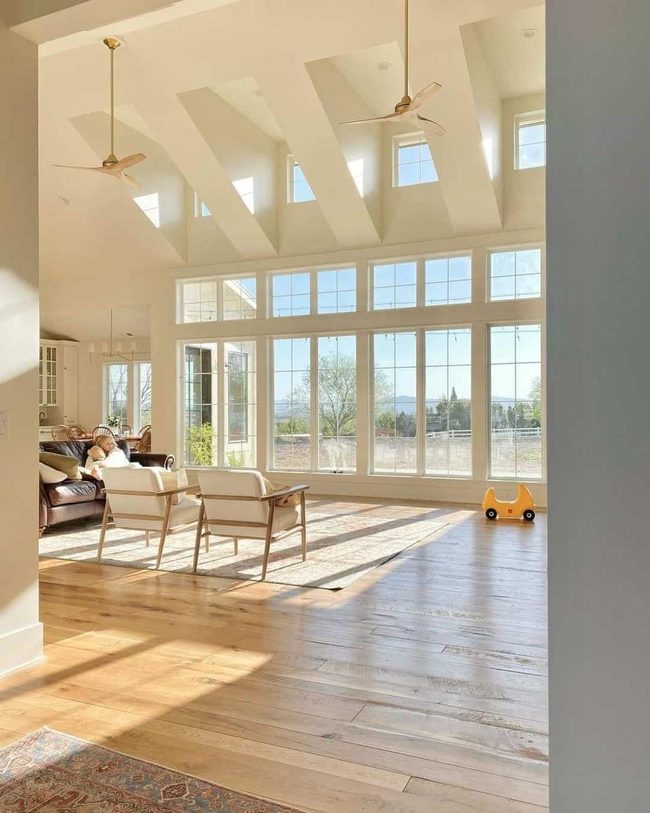 Soaring Ceilings Flood Light Through
