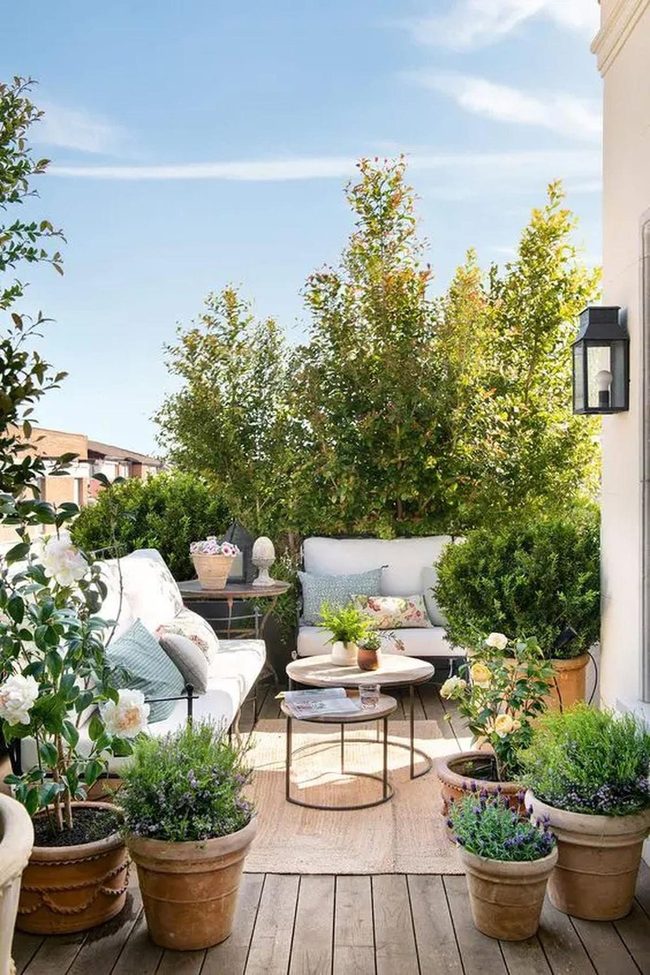 Green Plants Meet White Seating
