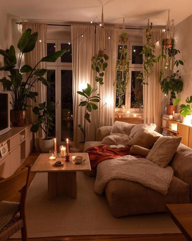 Green-Filled Room With Soft Lights