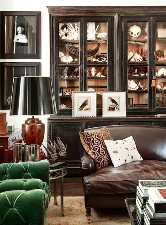 Brown Leather Cabinet With Curious Collections