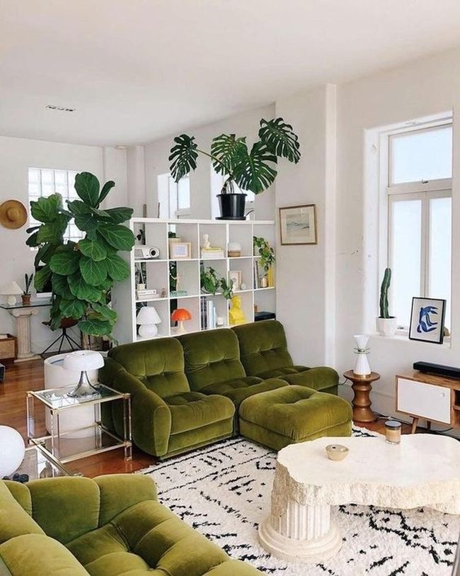 Deep Green Velvet Meets Natural Light