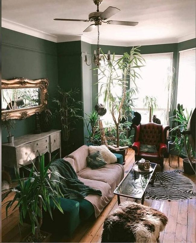 Green Walls Meet Zebra Stripes