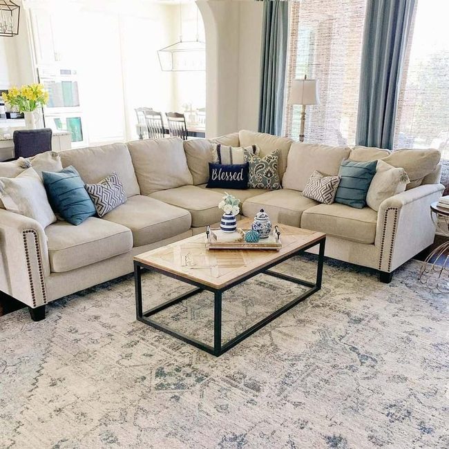 Cream Blue Corner With Daffodils