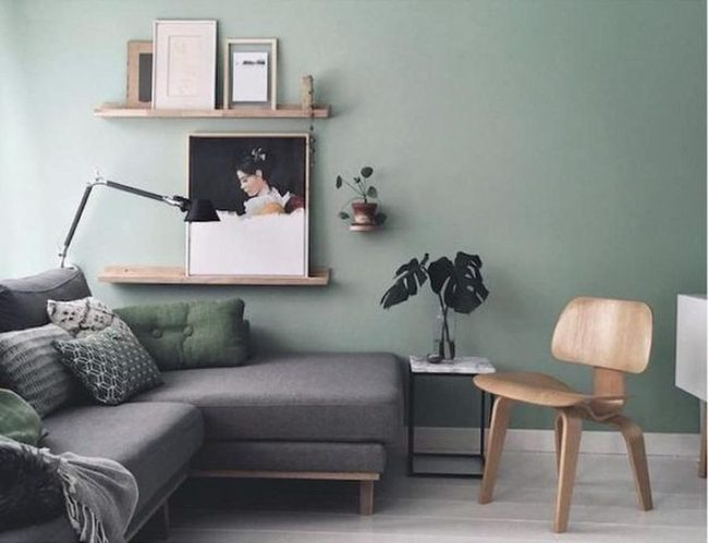Green Walls, Gray Comfort, Personal Stories