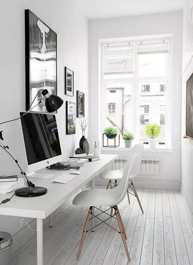 Bright Workspace With Living Plants