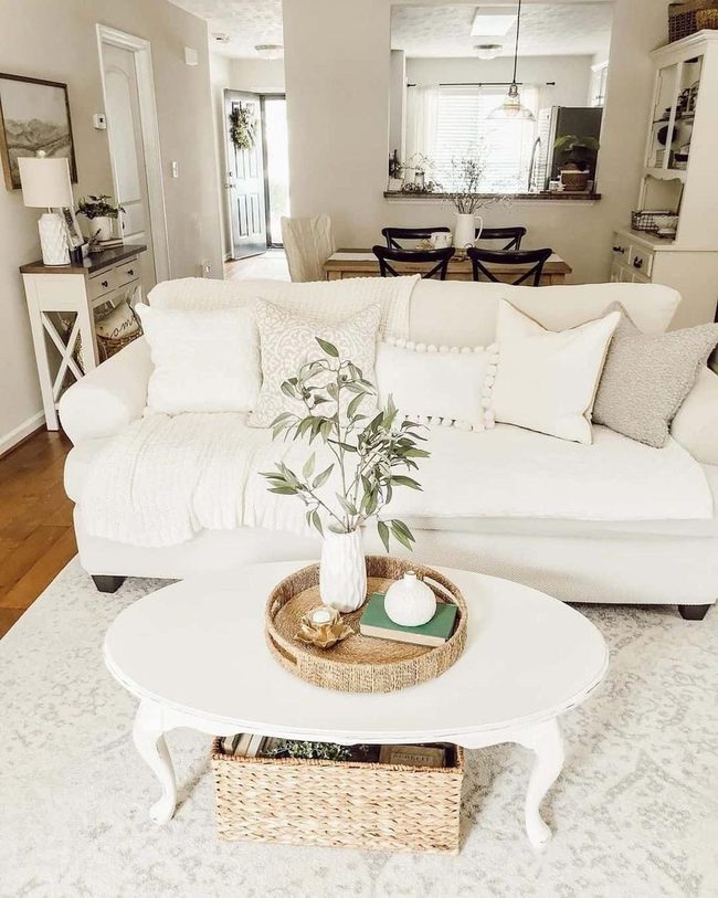 Gray Sofa, Practical Elegance