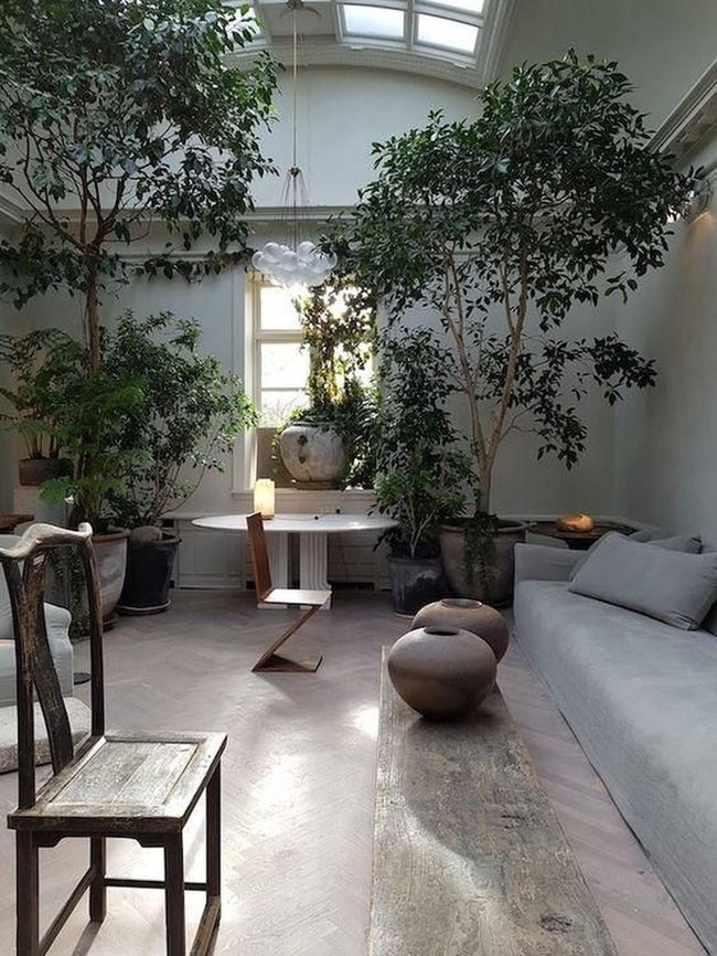 Green Plants And Wooden Warmth