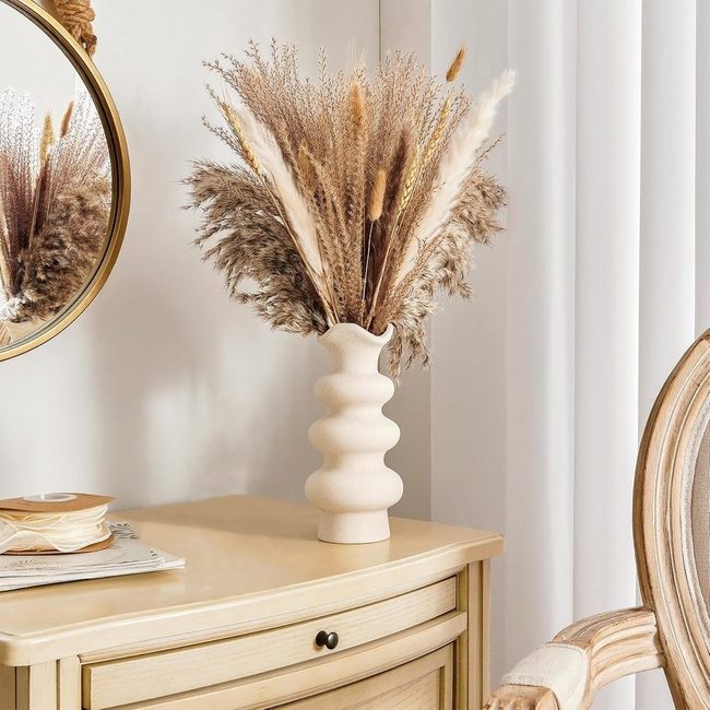 Dried Flowers Zero Maintenance Beauty