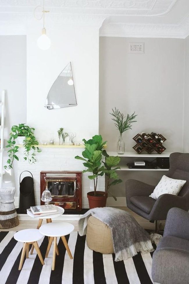 Black Stripes White Walls Green Plants