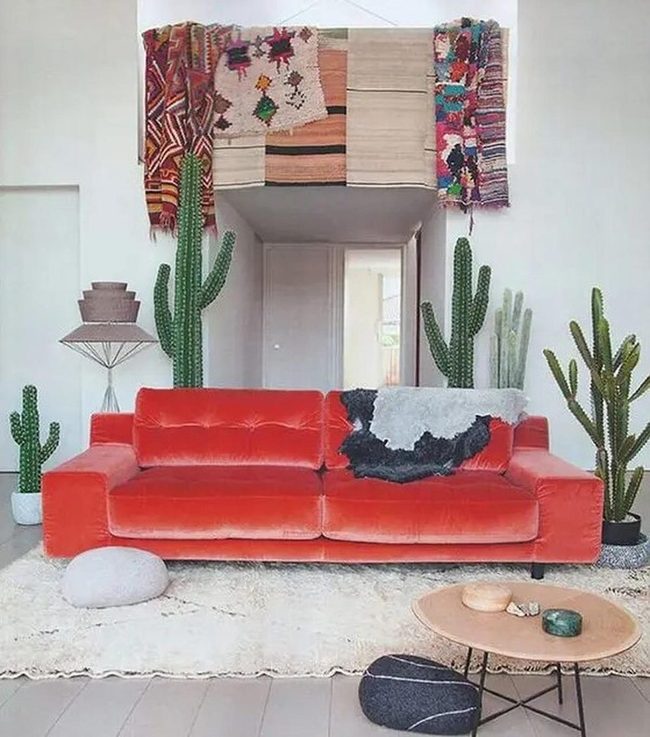 Green Cacti, Red Couch Energy