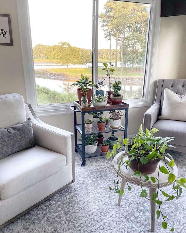 Black Metal Cart With Living Plant Display