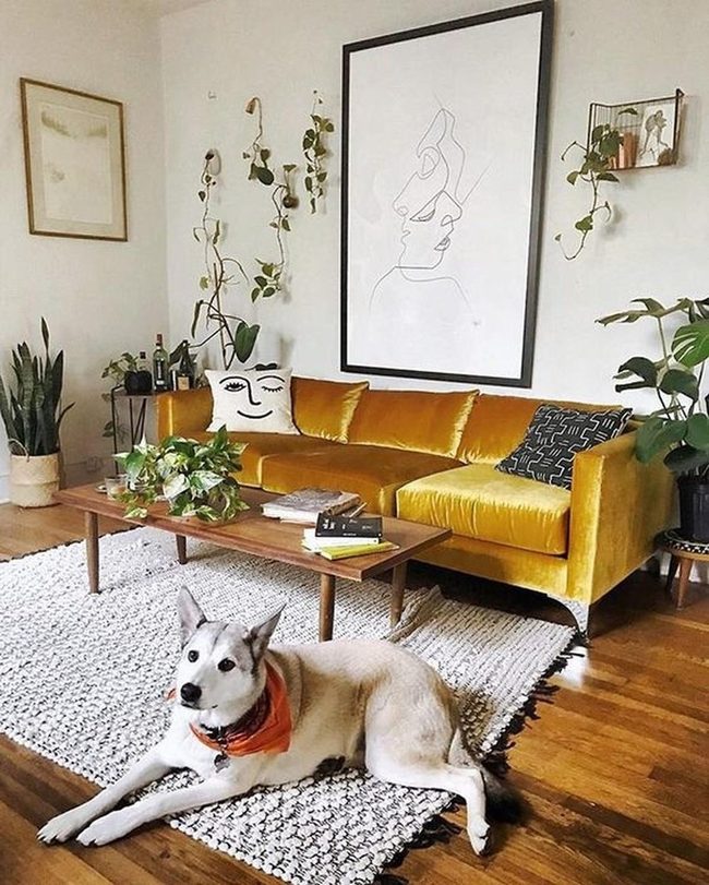 Sunny Yellow Couch With Living Greenery