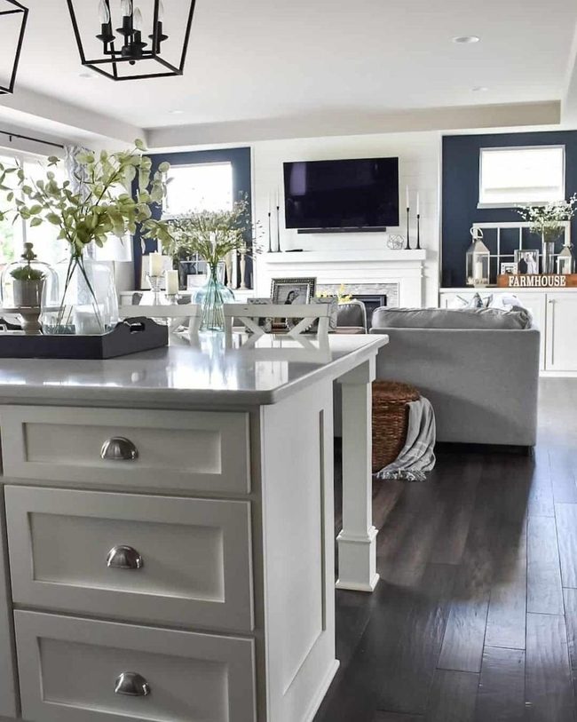 White Chimney Navy Walls Statement