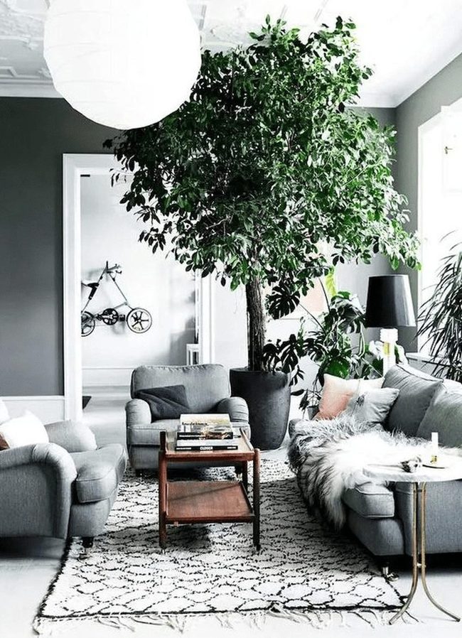 Gray Walls, Wooden Warmth, Natural Light