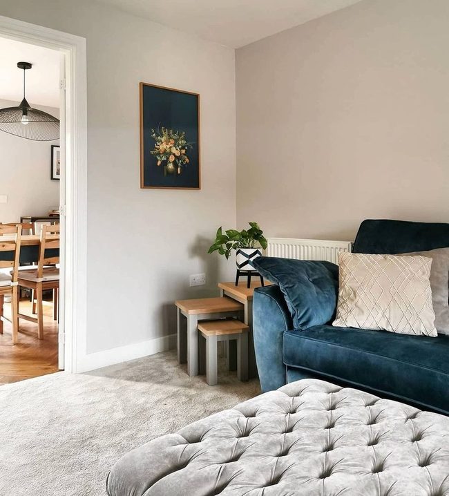Plush Carpet Meets Velvet Luxury