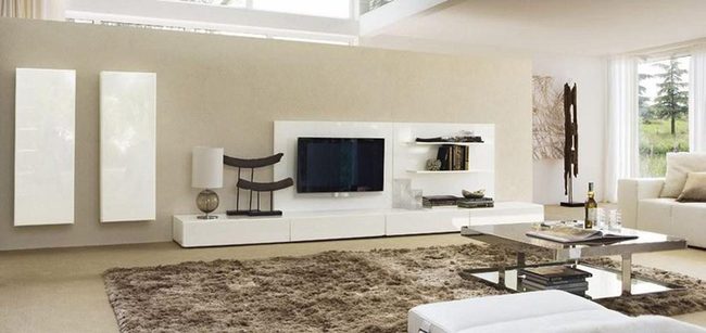 Brown Plush Rug Modern Living