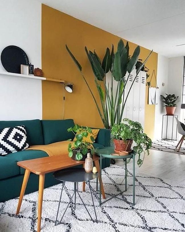 Yellow Walls Green Plants Living Space