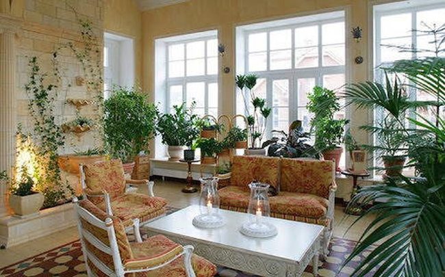 Sunlit Interior Garden Living