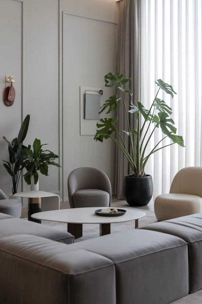 Living Plants In Current Spaces