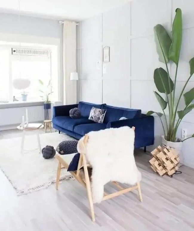 Deep Blue Couch Anchors Bright Space