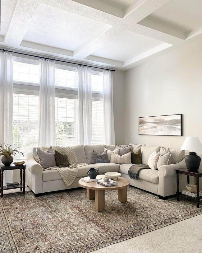 White Coffered Ceilings Brown Rugs