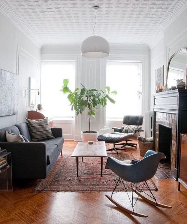 Green Plant Meets Dark Leather Comfort