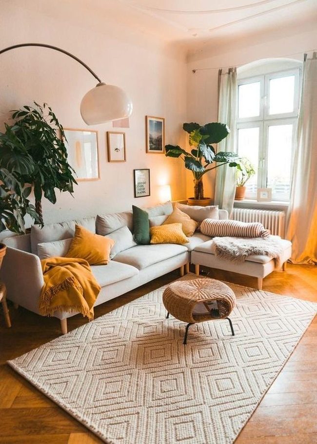 Sunlit Room, Green Plants, Layered Comfort