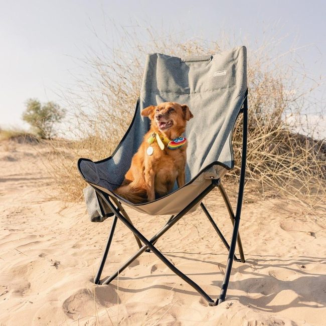 Shared Comfort Dog Chair