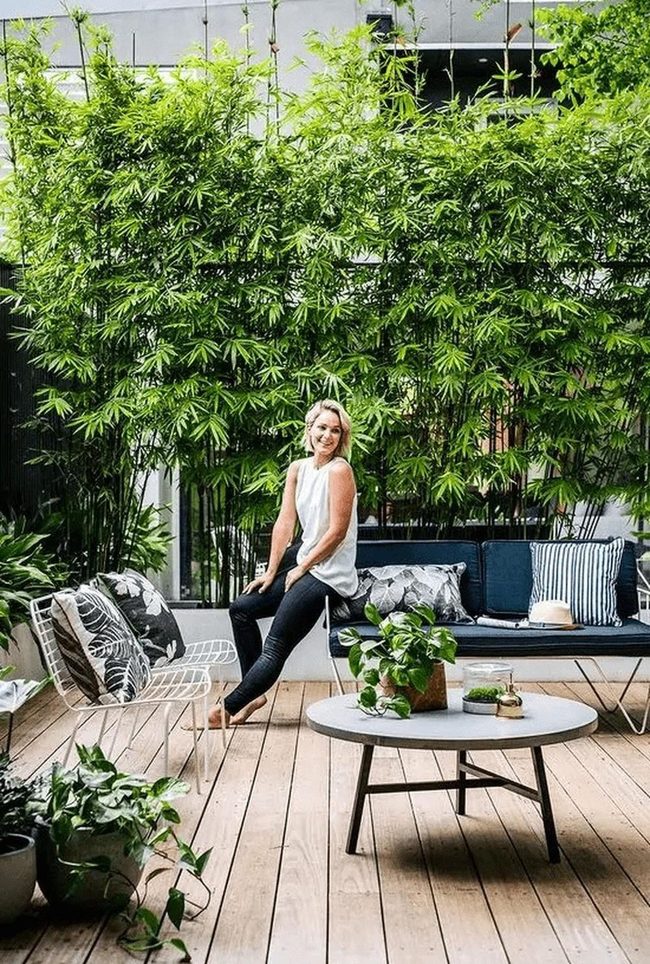 Green Walls, Dark Blue Seating