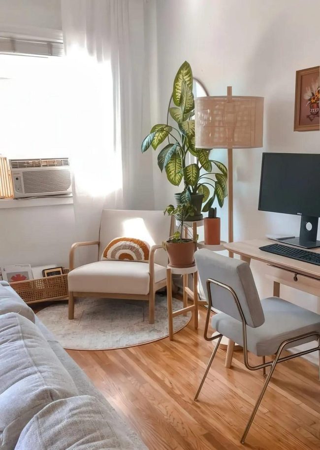 White Chair By Sunlit Window