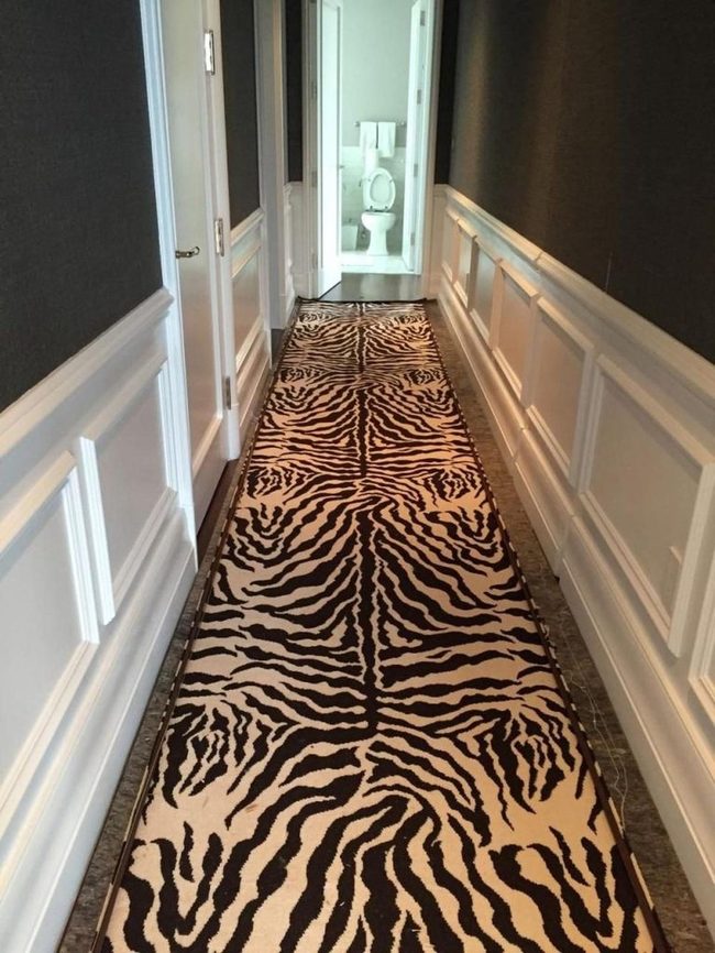 Dark Walls White Trim Zebra Rug