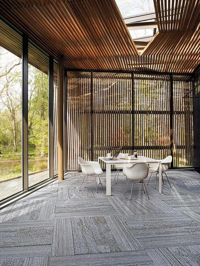 Modern Dining Meets Natural Light